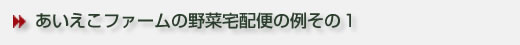 野菜宅配の例_1.jpg